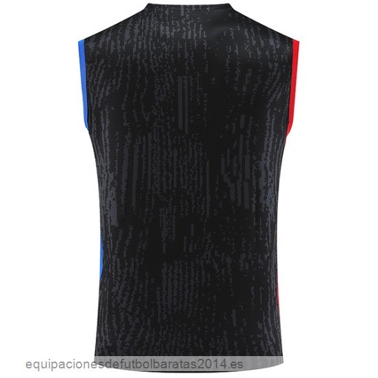 Nuevo Entrenamiento Sin Mangas Paris Saint Germain 23/24 Gris Rojo Azul Baratas